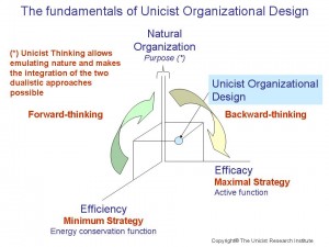 unicist organizational design